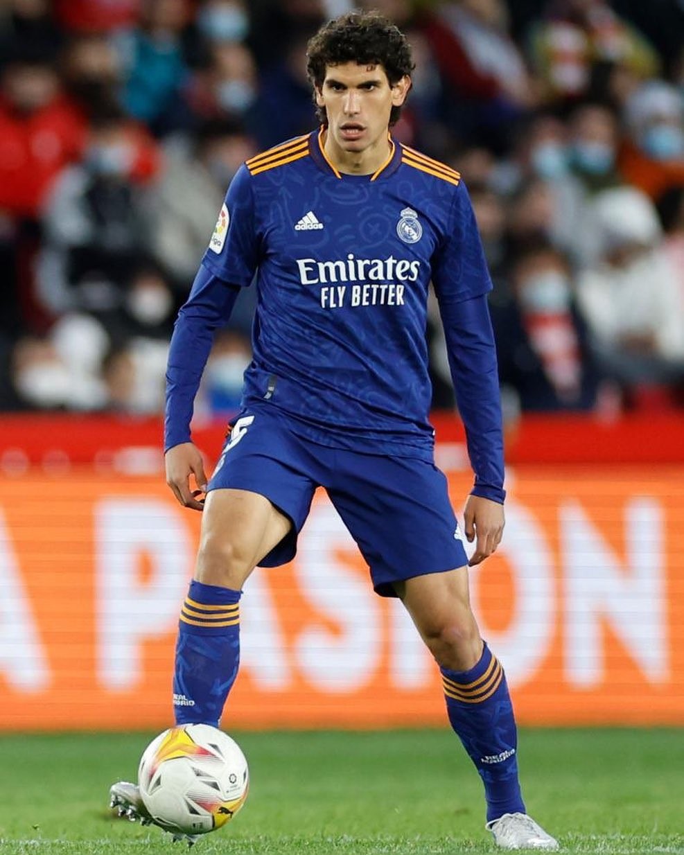 平甩手功正确完整30分钟 平甩手功正确完整30分钟